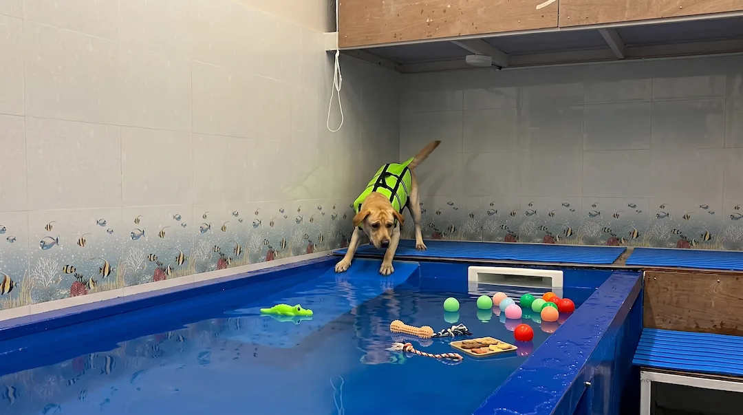 Pool Zone